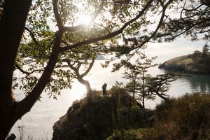 Sun rays shine through evergreen trees along a rocky coastline with calm waters and distant islands in view.
