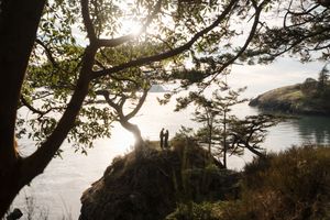 A scenic panoramic view of a coastal shoreline with trees and rocks silhouetted against a bright sunlit sky.