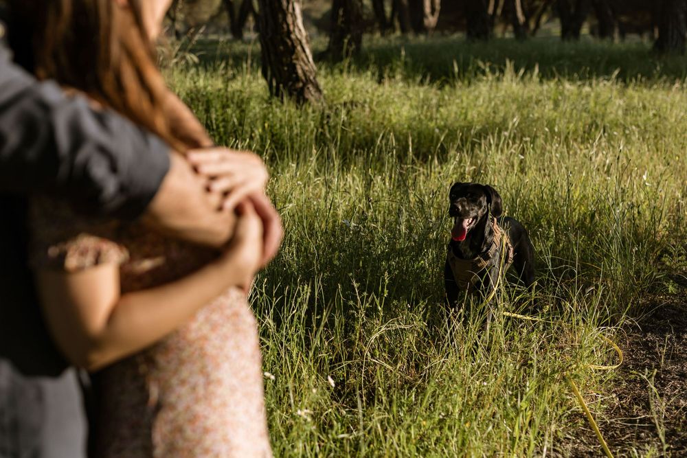 Happy couple holding hands and smiling during golden hour engagement shoot in Lagoa de Albufeira Portugal
