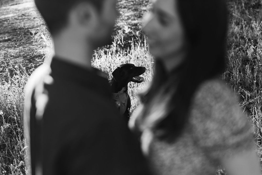 Artistic black and white photo of couple with dog in background during engagement session in Sesimbra Portugal
