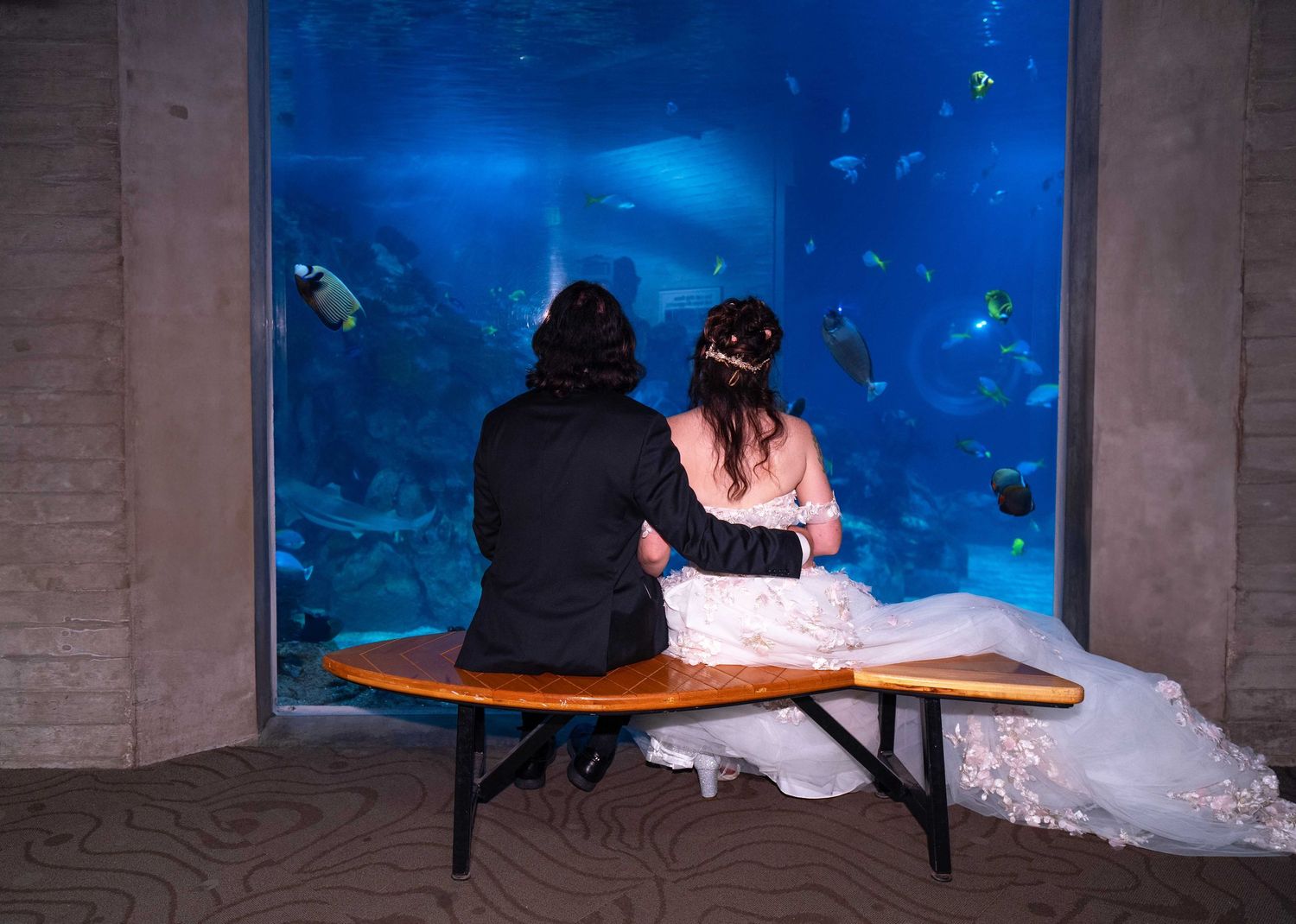 bride and groom posing during their wedding in Toledo Zoo Wedding Venue