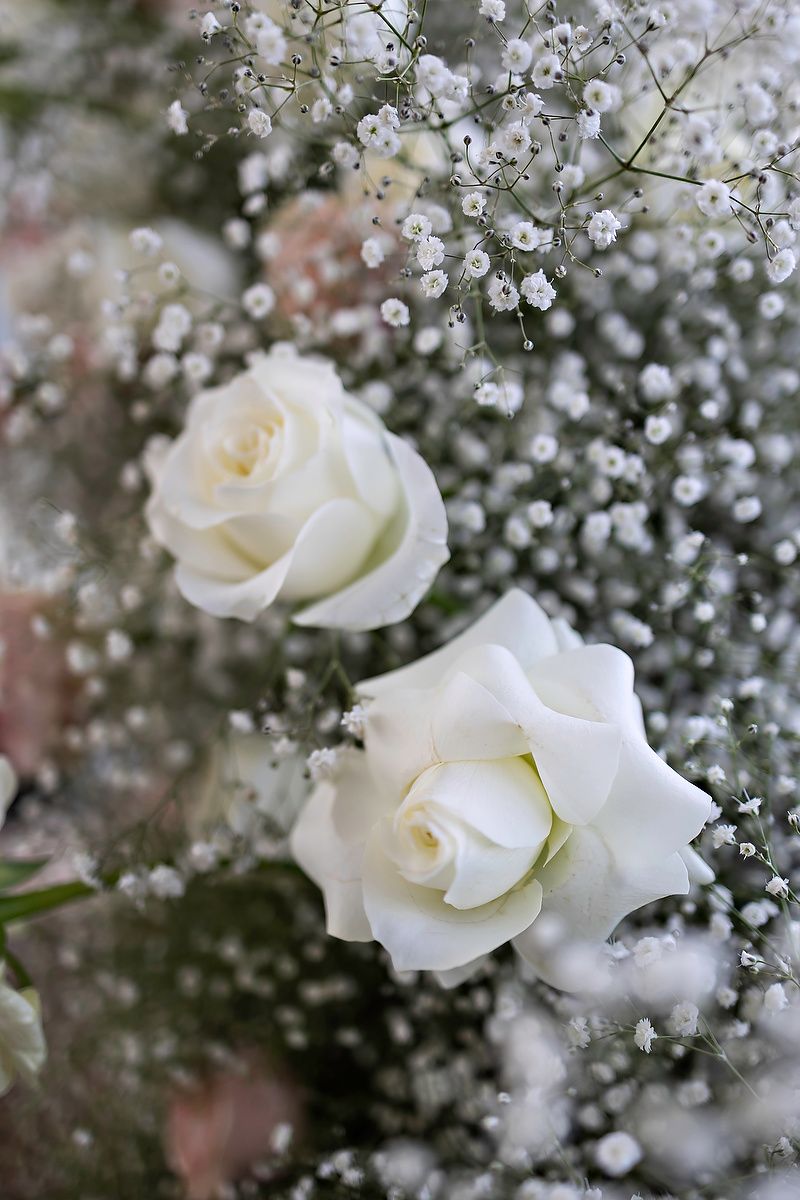 Two white roses surrounded by delicate baby's breath flowers in a soft, romantic floral arrangement.