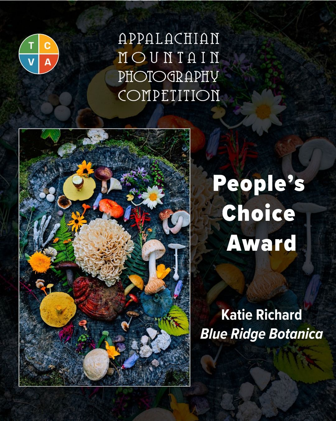 Peoples Choice Appalachian Mountain Photography Competition Katie Richard Turchin Center Boone NC App State