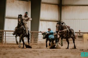 Horse and rider practicing maneuvers in an indoor training arena.