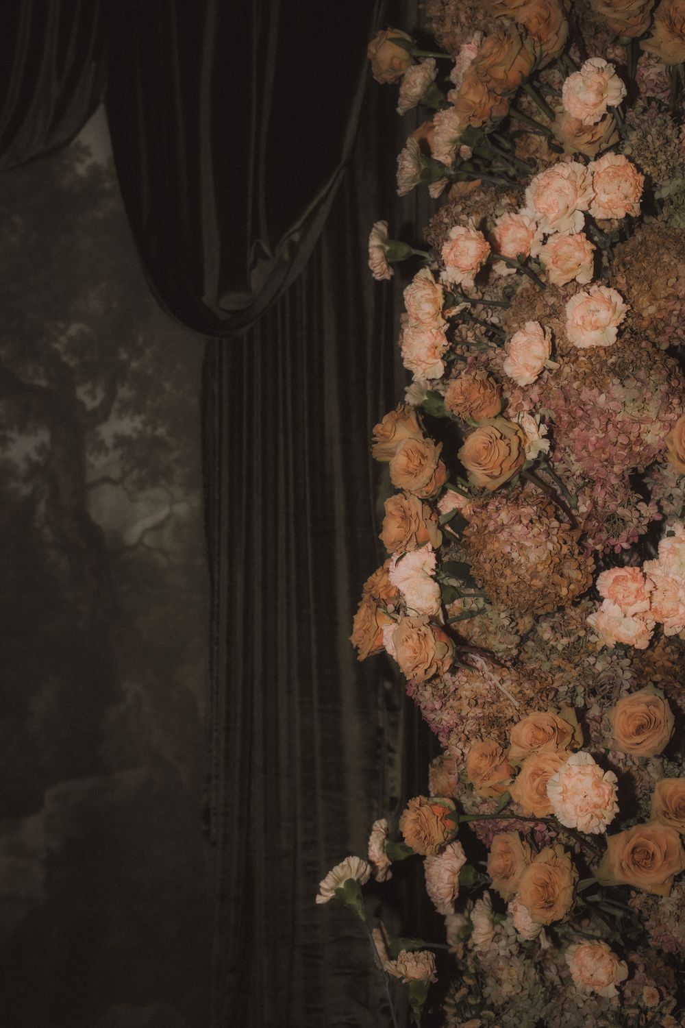 Peach and coral roses create a romantic floral arch against a dark dramatic background.