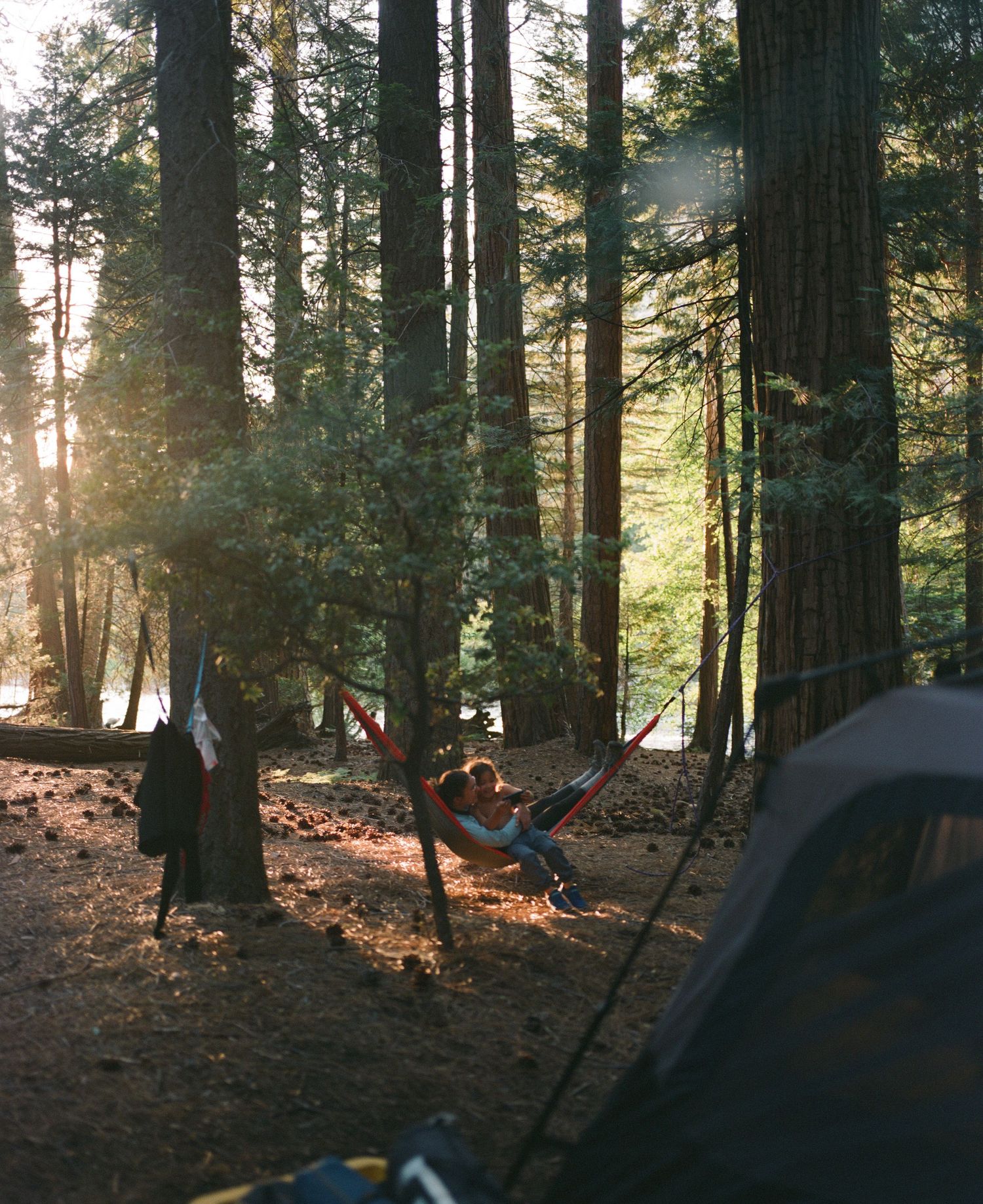 Someone relaxes in a hammock among tall trees at a forested campsite during golden hour sunset.