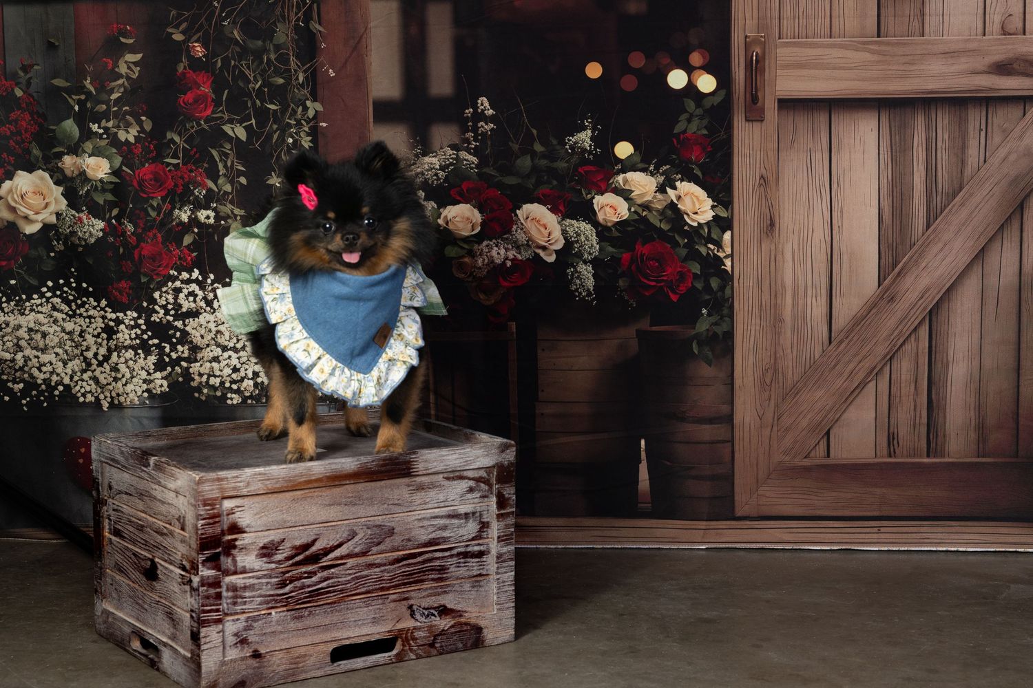 Rustic wooden crate decorated with floral arrangements and baby's breath near a barn door.