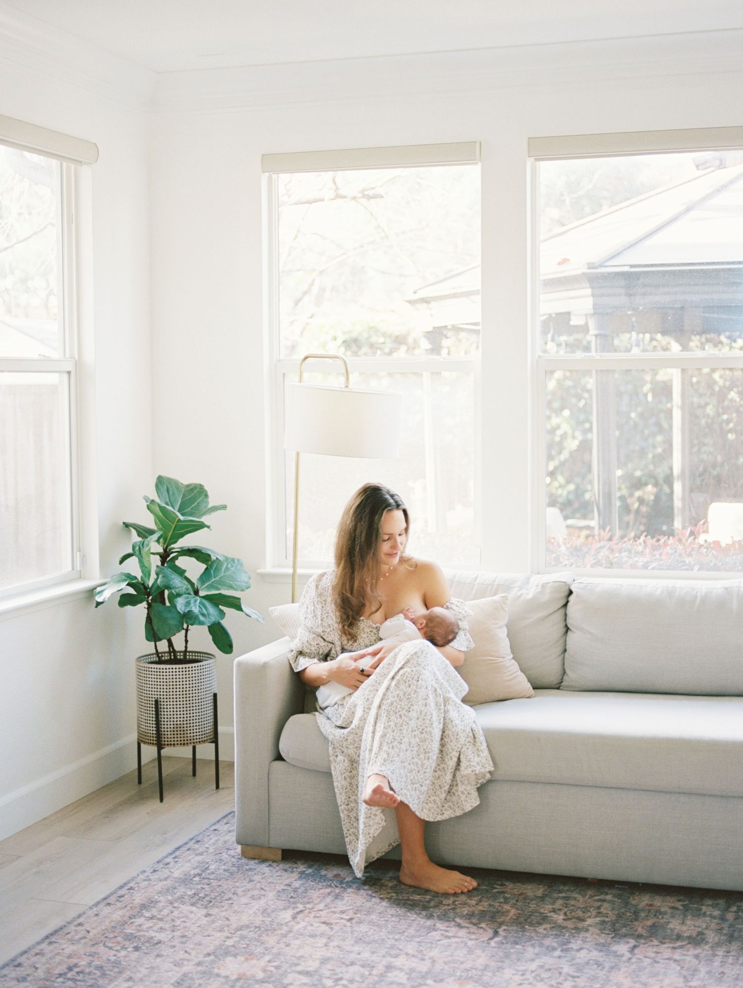 Bright and airy living room with grey sofa, houseplants, and natural light streaming through large windows.