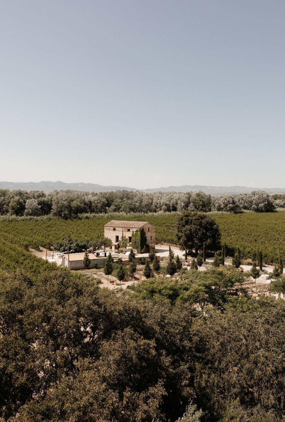A rustic villa nestled among rolling vineyards and olive groves in the countryside under a clear sky.