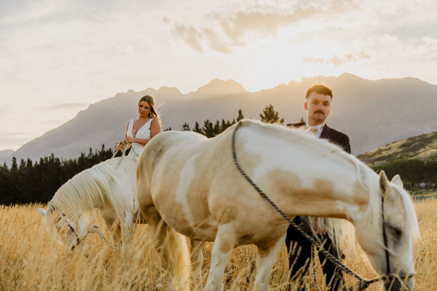 White horse in golden mountain meadow during sunset with mountains in background.