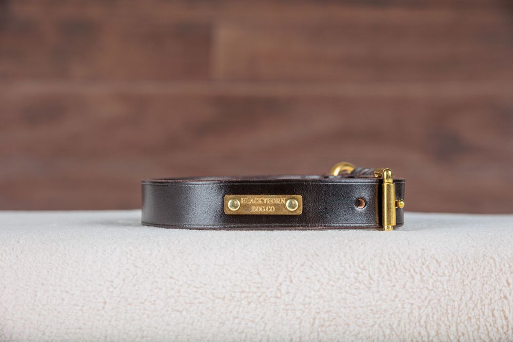 Dark brown leather dog collar with gold hardware and brand tag, displayed on white surface with wood background.
