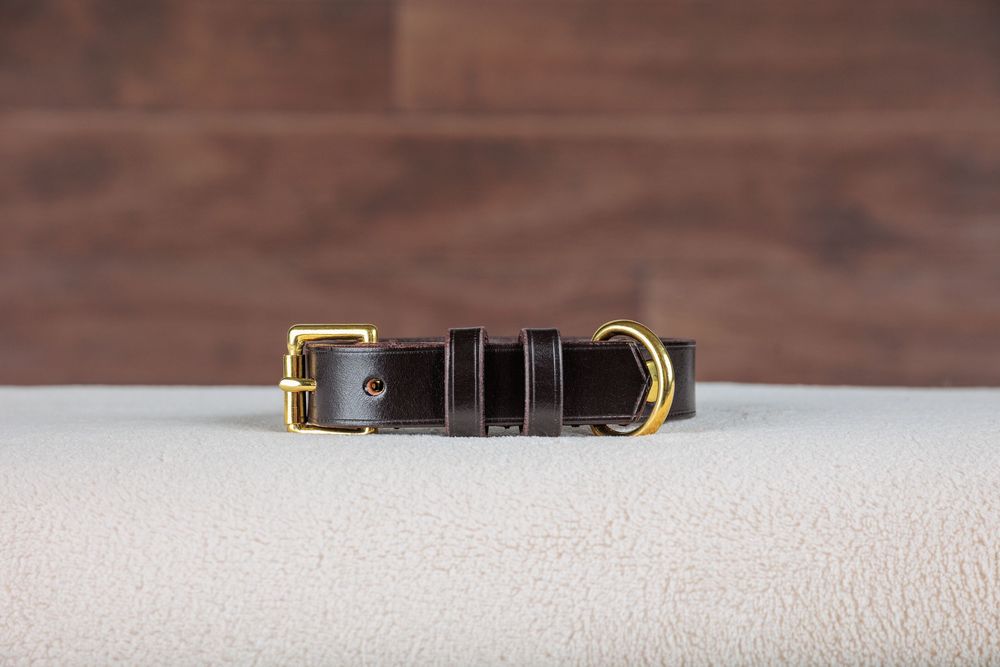 Dark brown leather dog collar with gold brass buckle and D-ring hardware displayed on white surface.