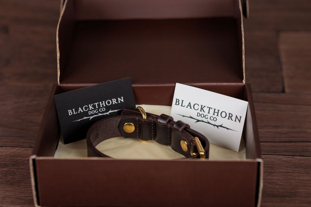 Brown leather dog collar with gold hardware in a Blackthorn Dog Co branded gift box with cards.