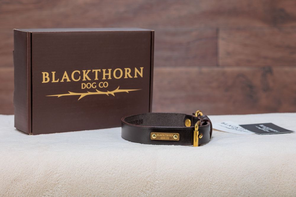 Blackthorn Dog Co brown leather dog collar with gold hardware displayed in front of branded gift box.