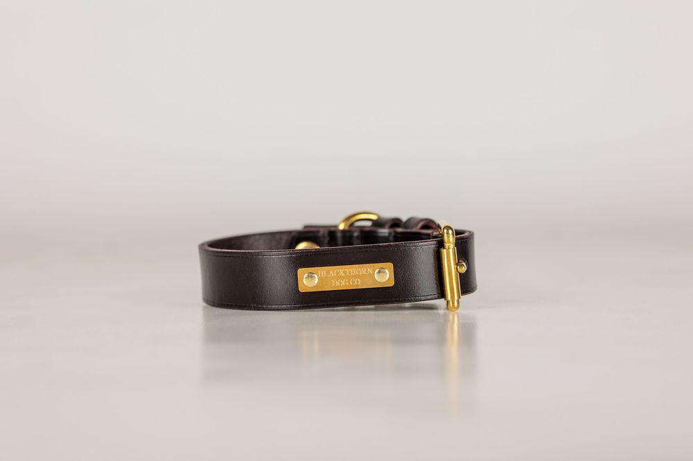 Black leather dog collar with gold hardware and engraved name plate on white background.