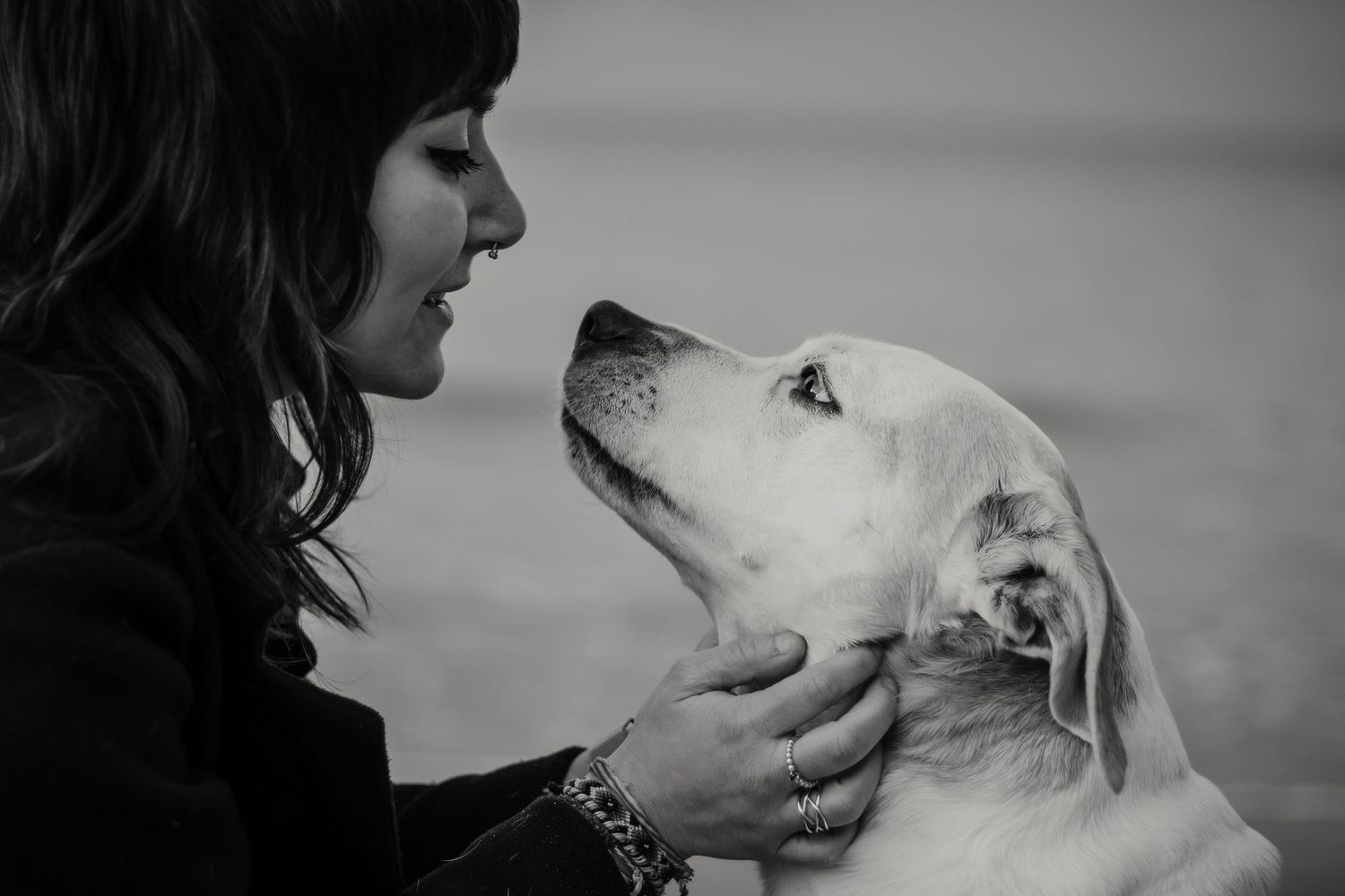 Fotografía en blanco y negro de perro senior en Tarragona