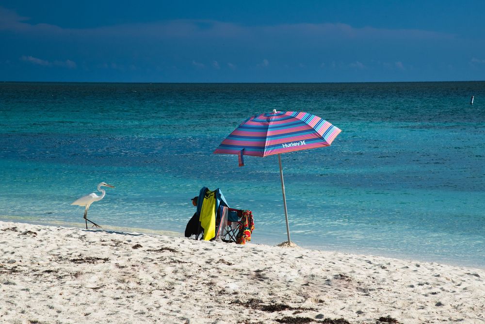 A colorful striped beach umbrella shades two chairs on a white sandy shoreline as a white heron strolls nearby