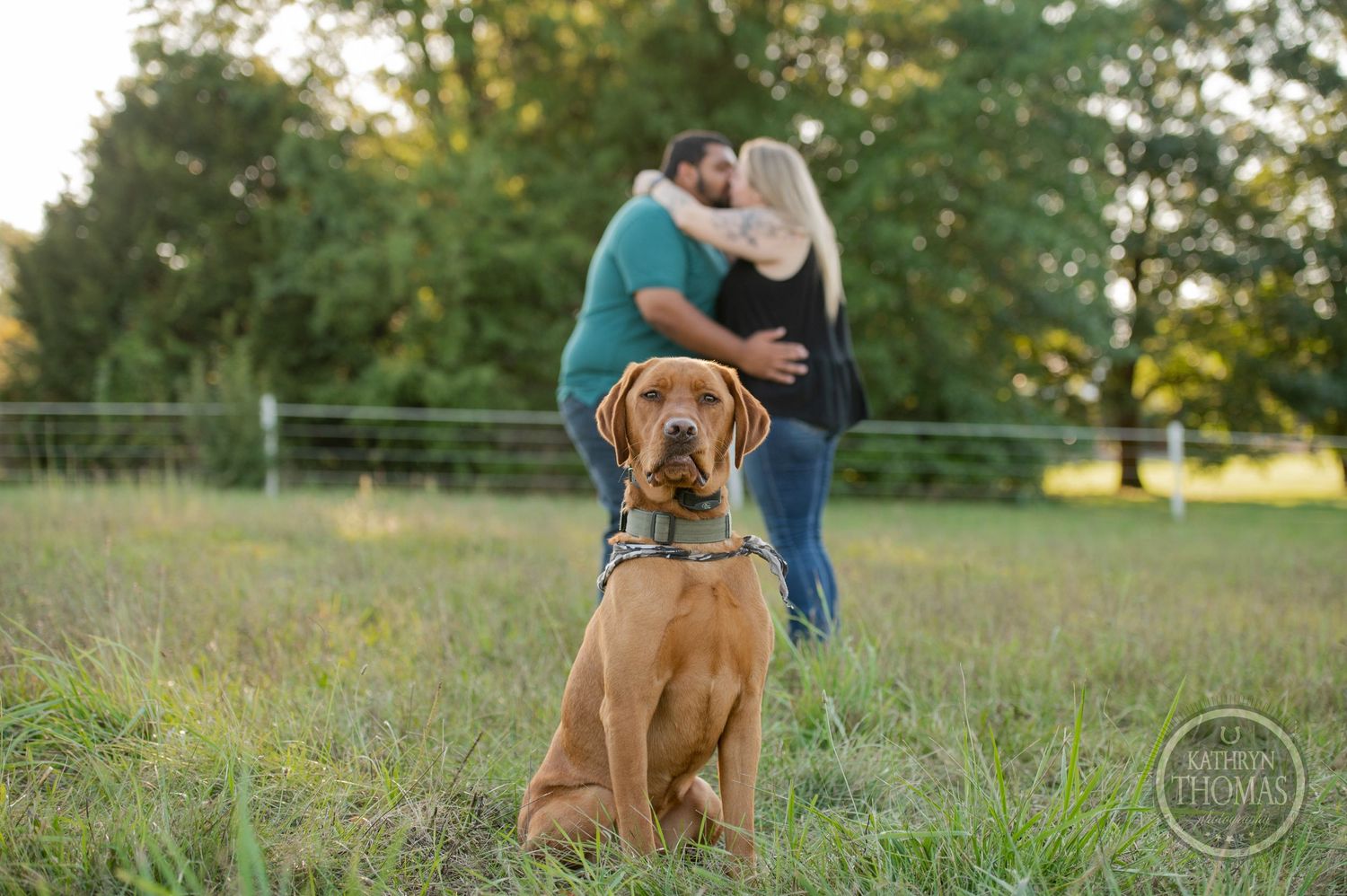A brown dog sits attentively in the foreground while a couple poses behind in a field.
