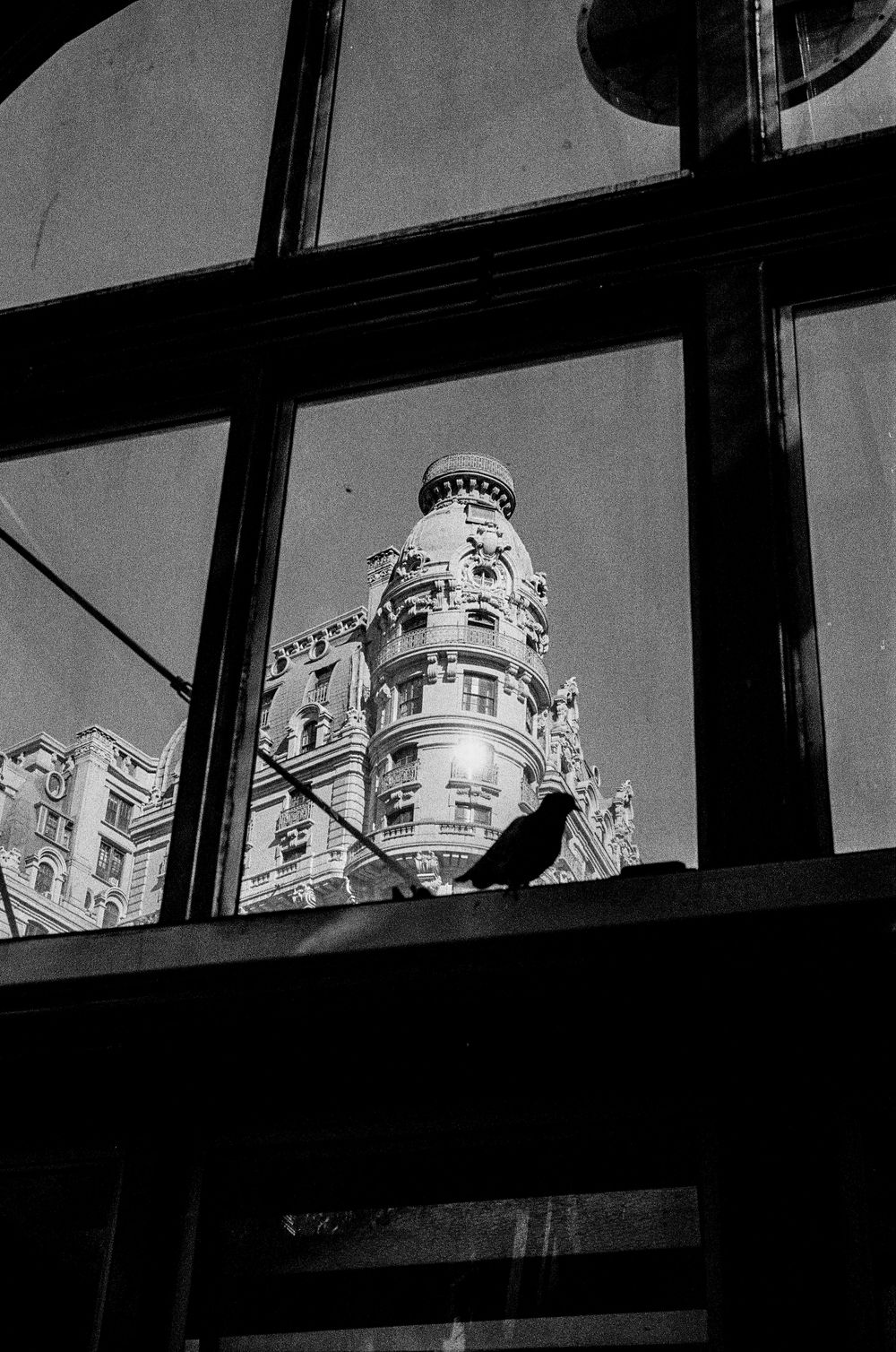 Ornate architectural details of a historic building with a bird silhouetted against the sky.