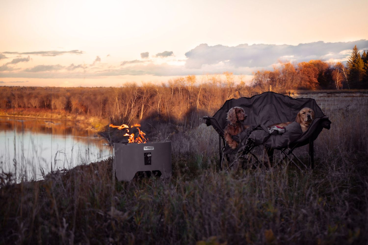 A graffiti mural of a buffalo painted on a concrete wall next to a lake at sunset.