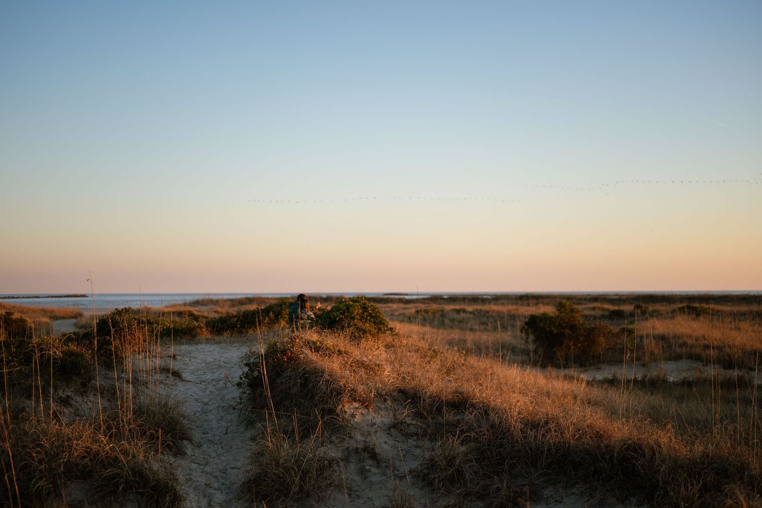 Woman in beige dress poses among sea oats on coastal dunes.