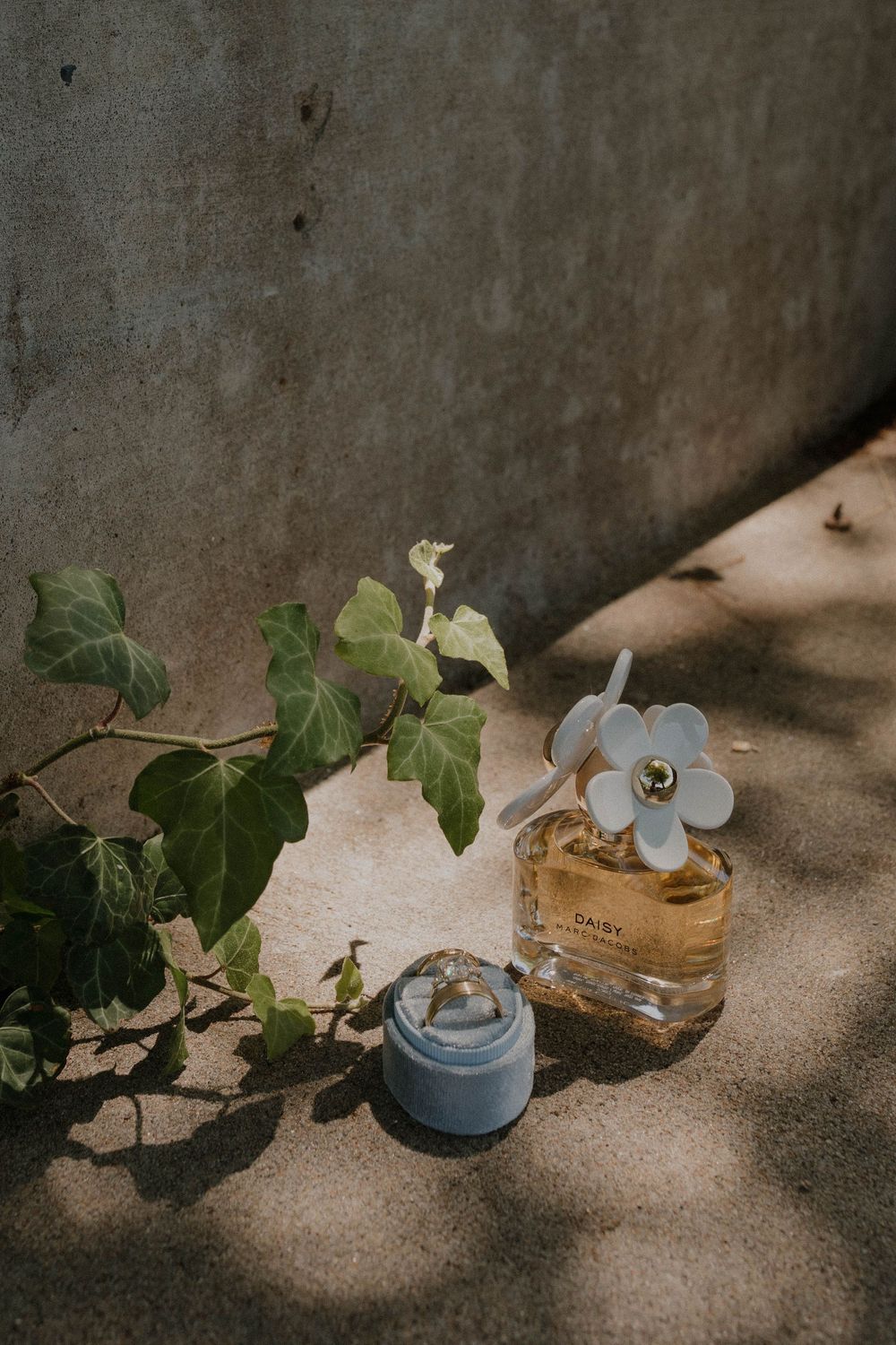 A collection of skincare products with green ivy leaves and white flowers arranged on a textured gray surface in moody lighting.