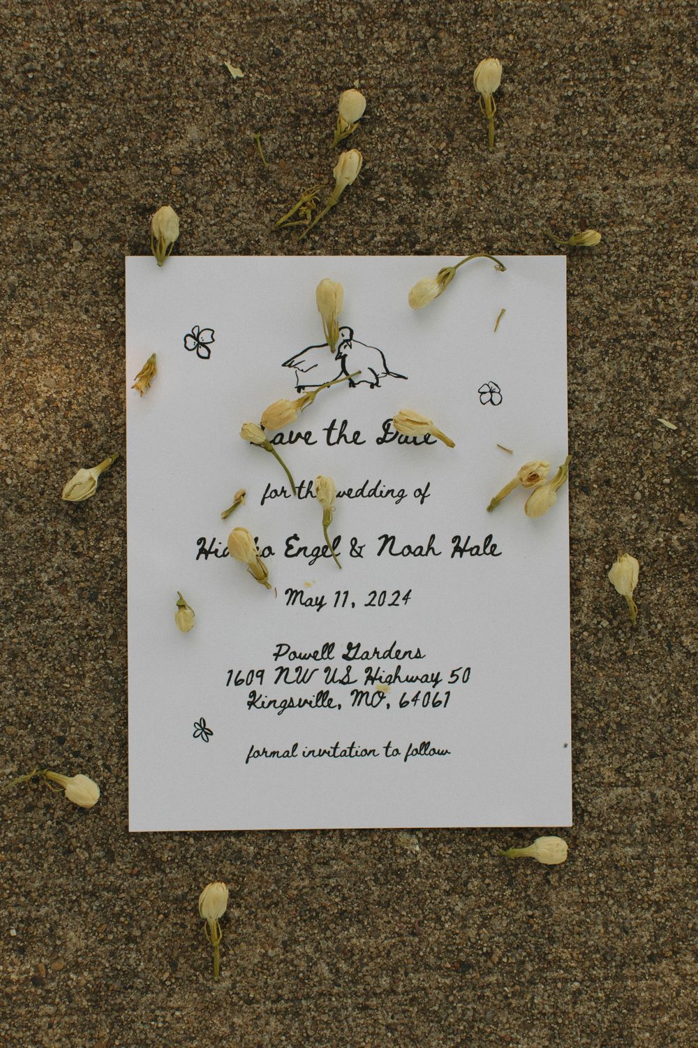 Wedding invitation cards scattered on textured ground with light flower petals.