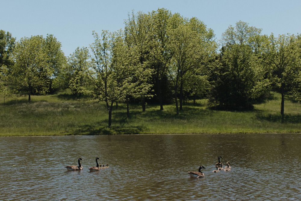 Scenic lake view with trees and people kayaking in the distance.