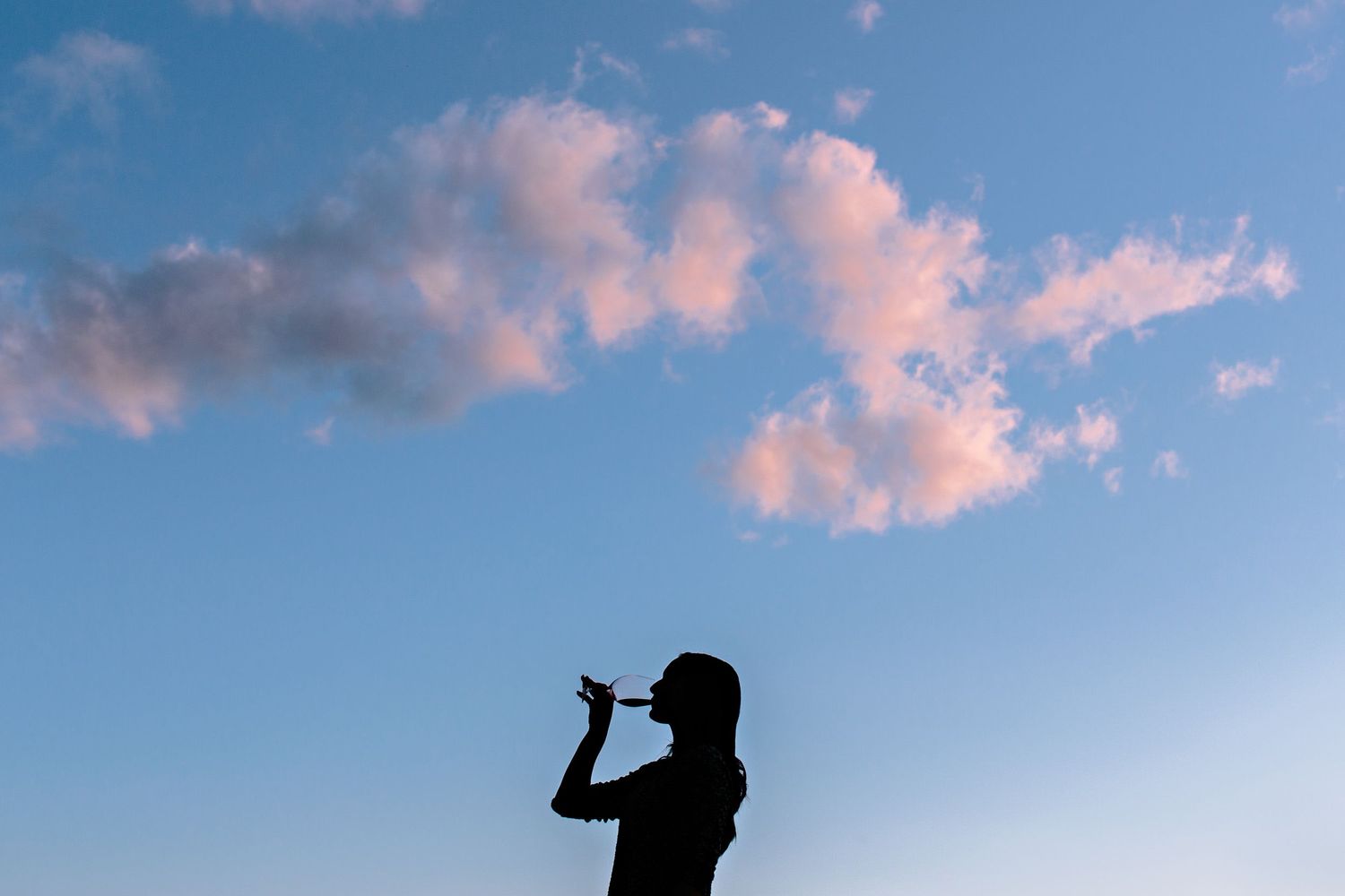 wine and cotton candy sky
