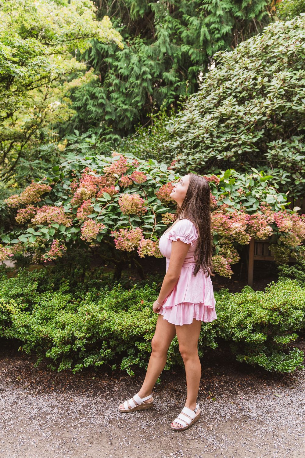 Young woman in pink dress and sandals admiring blooming hydrangeas in a lush green garden.
