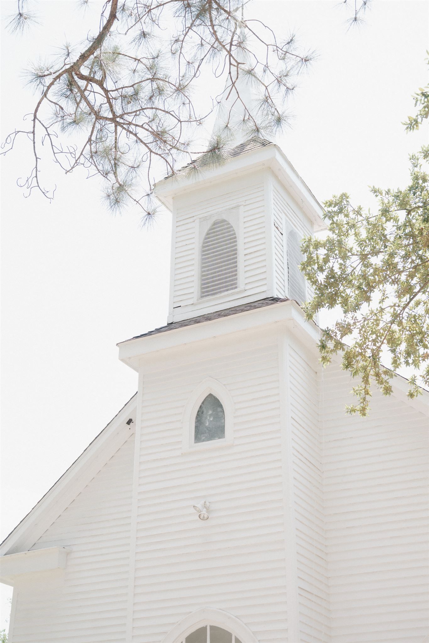 White wooden Tomball church steeple with arched window surrounded by pine and oak trees against bright sky.