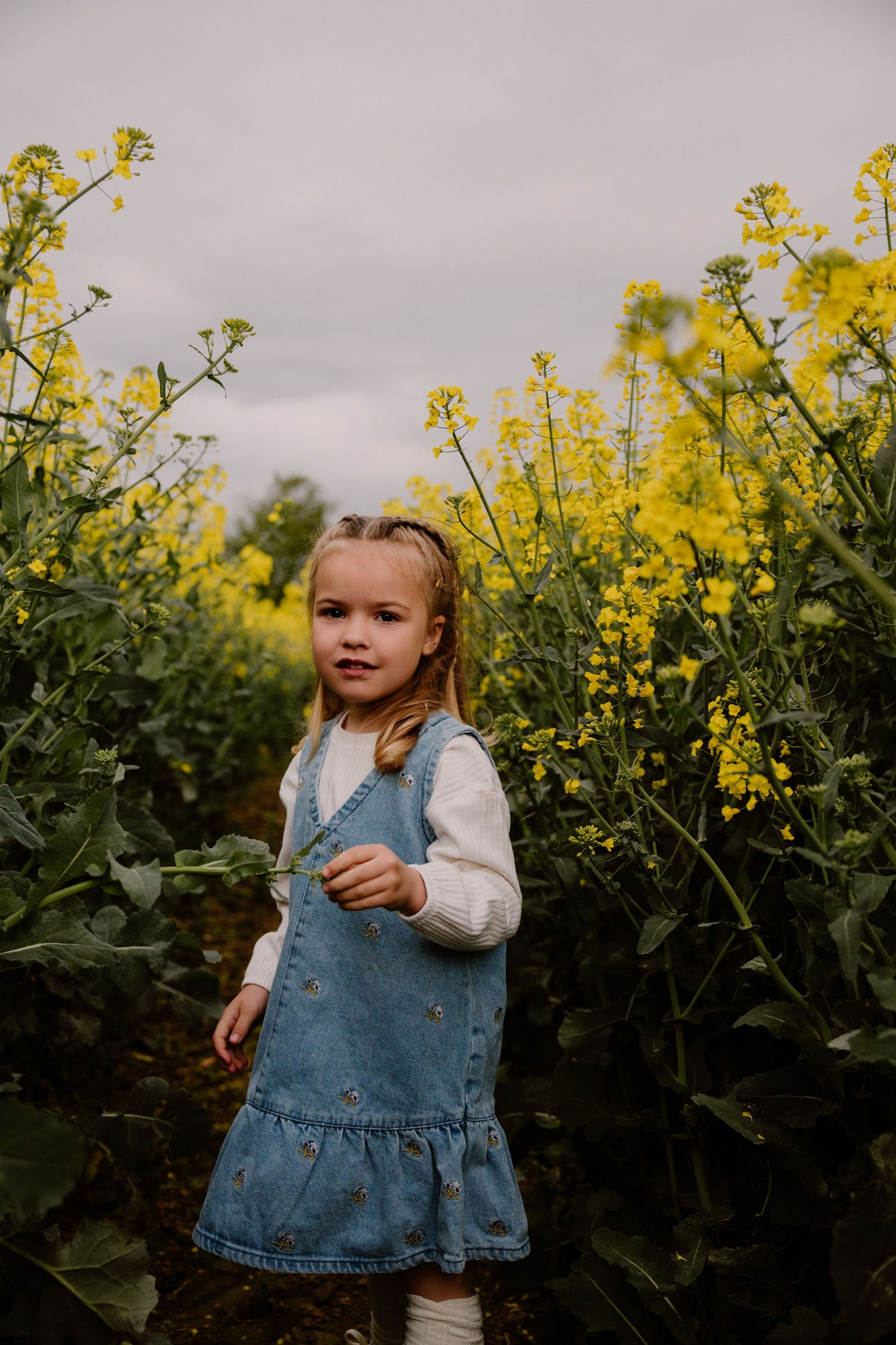 Young girl in a denim dress standing in a vibrant yellow rapeseed flower field.