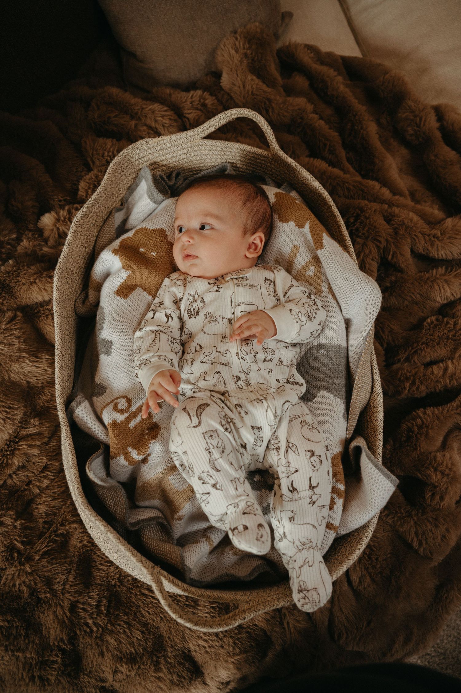 Newborn baby in animal print footie pajamas lying in a woven basket lined with soft blankets.
