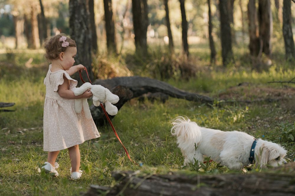 little girl in pink dress holds a stuffed toy while walking a fluffy white dog on a leash in a sunny forest in rouse hill family photoshoot
