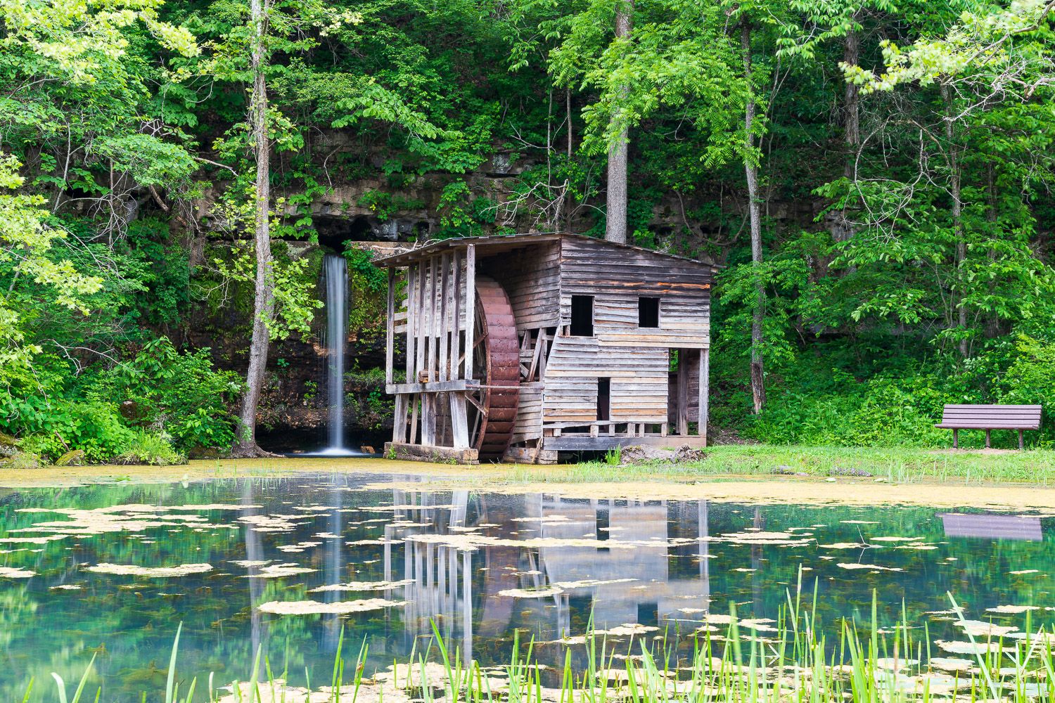 An abandoned rustic wooden mill sits beside a calm lily pad-covered pond surrounded by lush green trees. Falling Springs Mill and waterfall