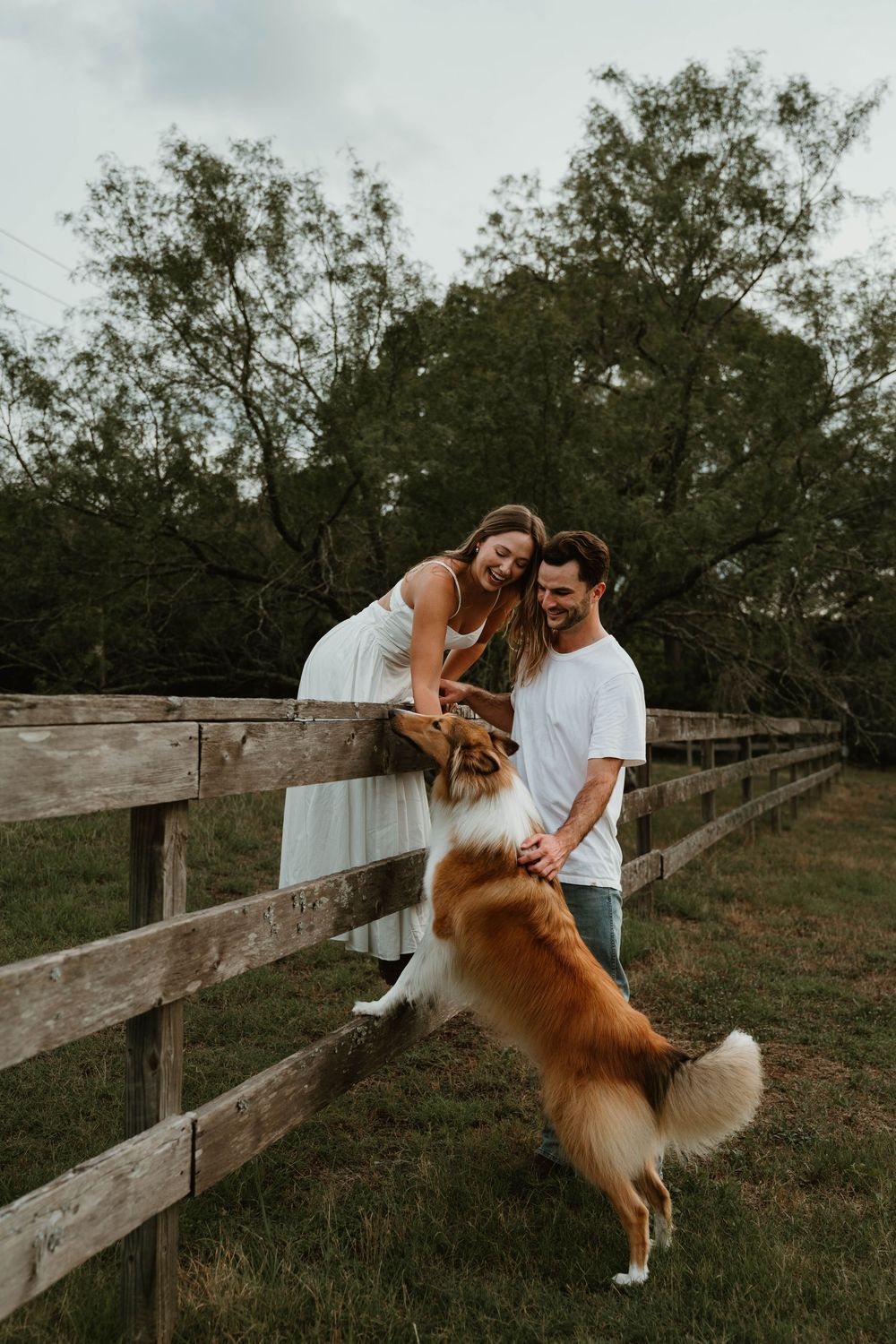 A couple smiles at their jumping Collie dog by a wooden fence surrounded by lush green trees.