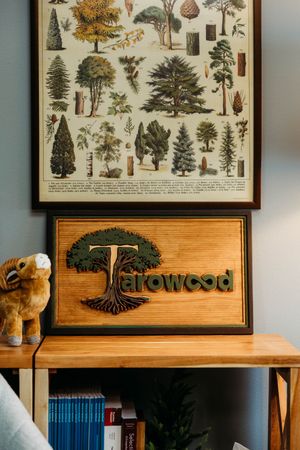 Wooden Tarowood sign with tree logo displayed on shelf below vintage botanical tree identification poster.