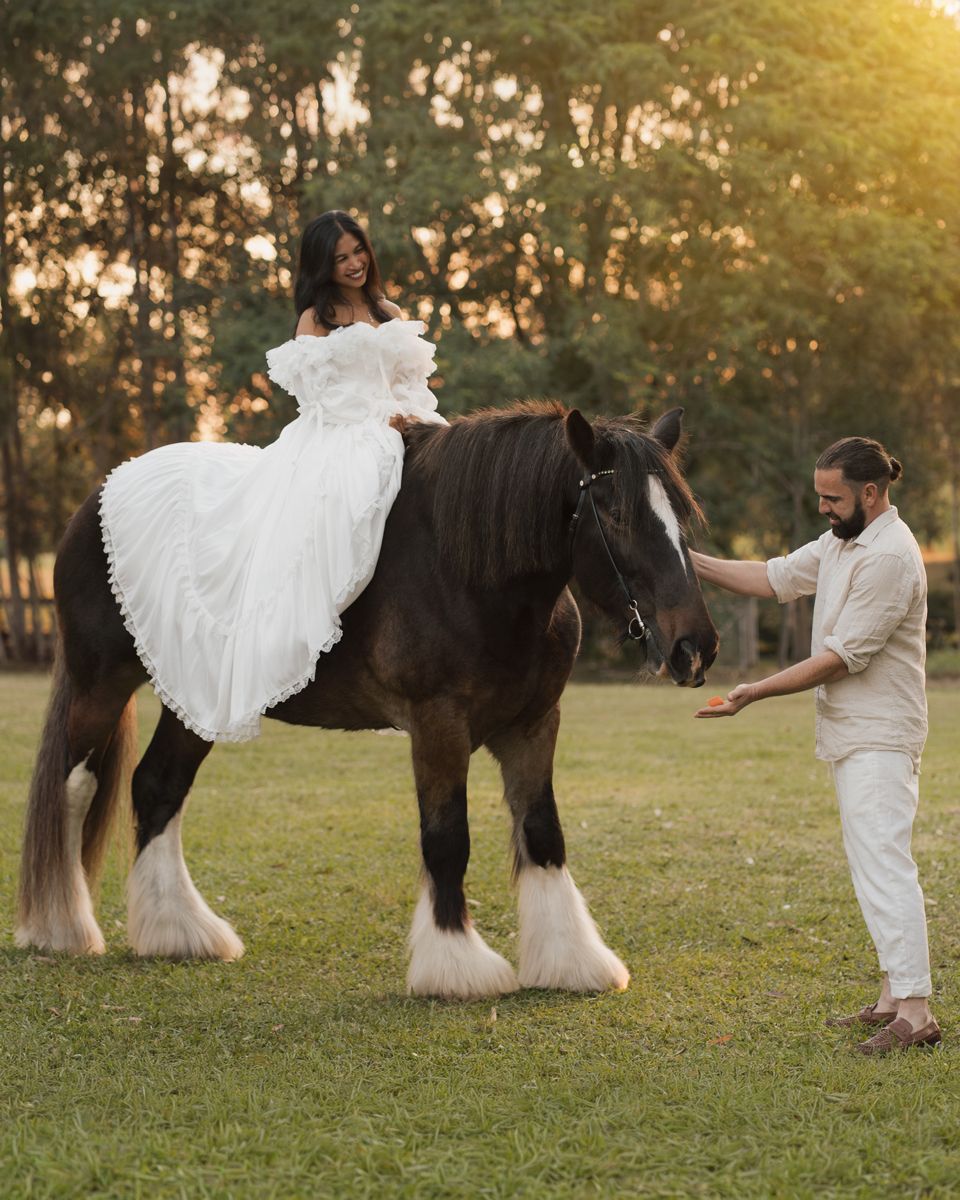 Bride in white gown rides a dark shire horse while groom in white outfit stands beside her at golden hour sydney photoshoot with a horse