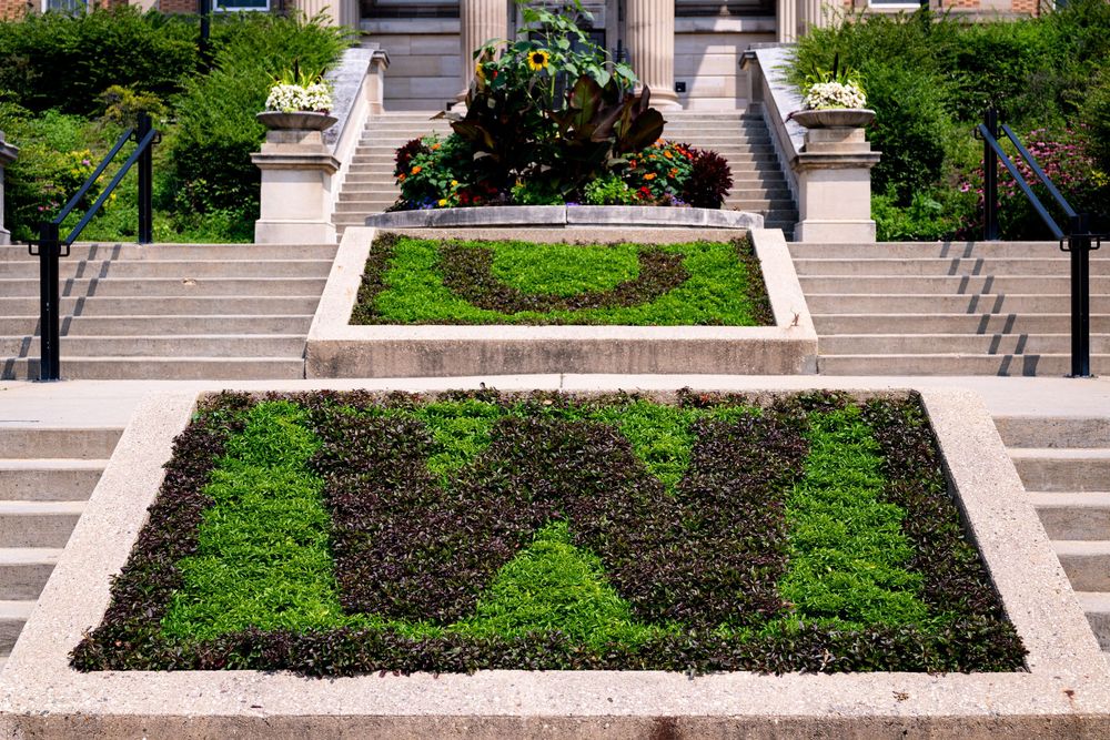 Ornate garden beds with green and dark foliage patterns in front of stone steps at a formal building entrance.