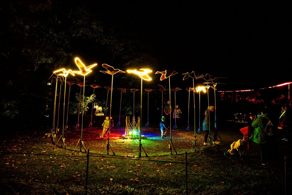 Colorful neon light art installation glowing in a dark park at night with people gathered around.