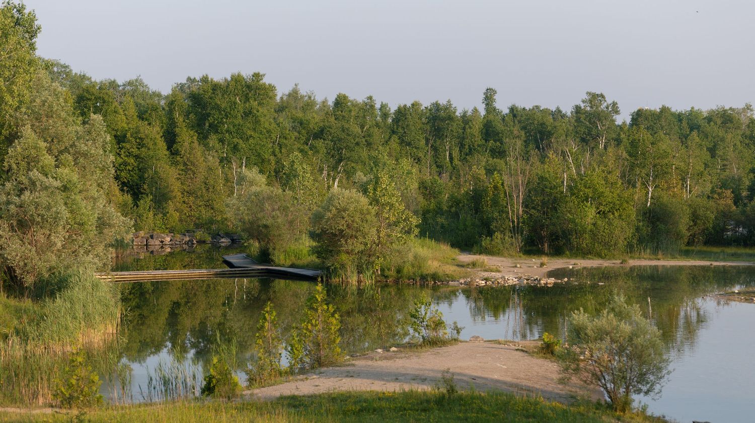 Serene lake surrounded by lush green trees reflecting on calm water with a small dock visible on the shore.