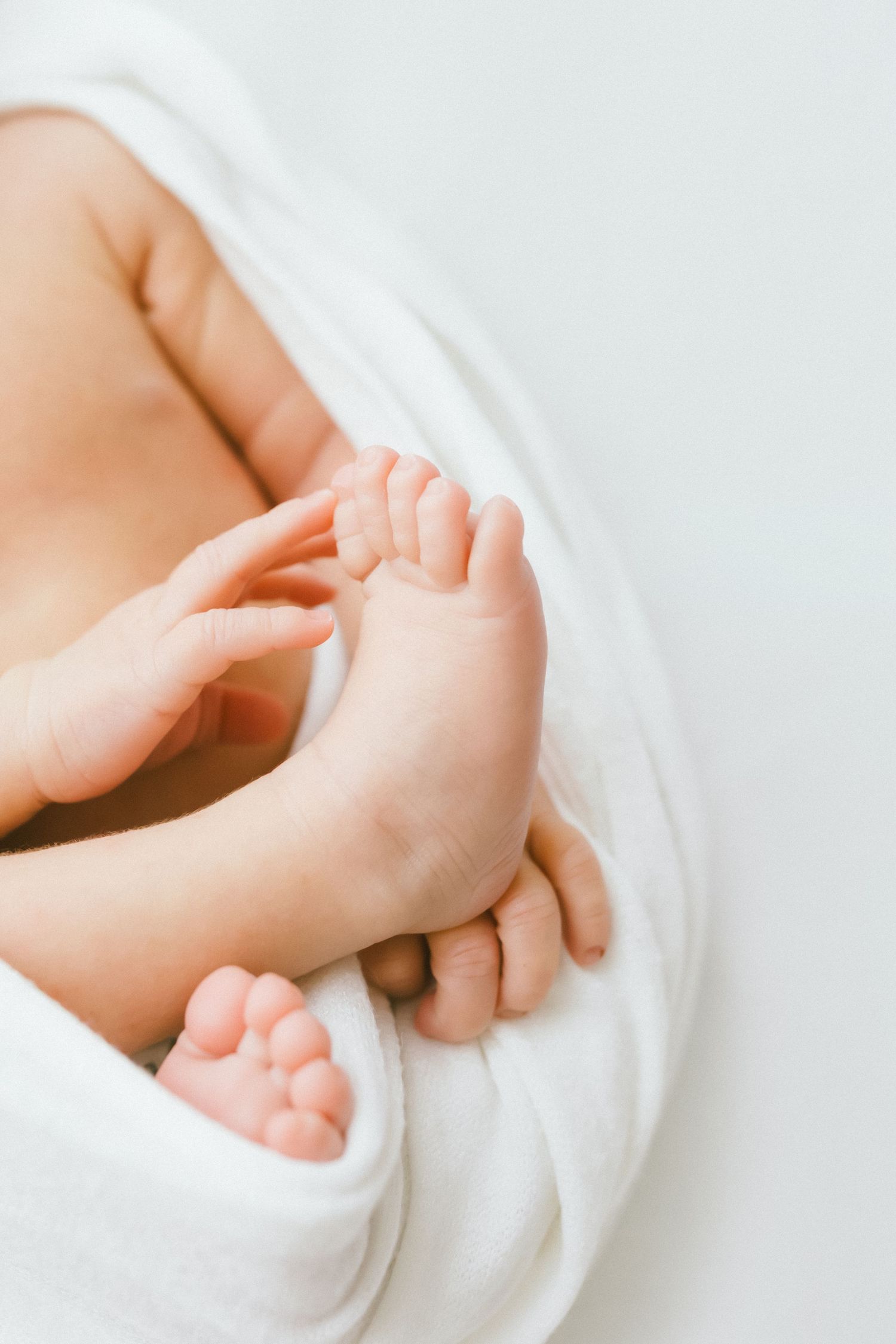 Close-up of tiny newborn baby feet and hands wrapped in a soft white blanket.