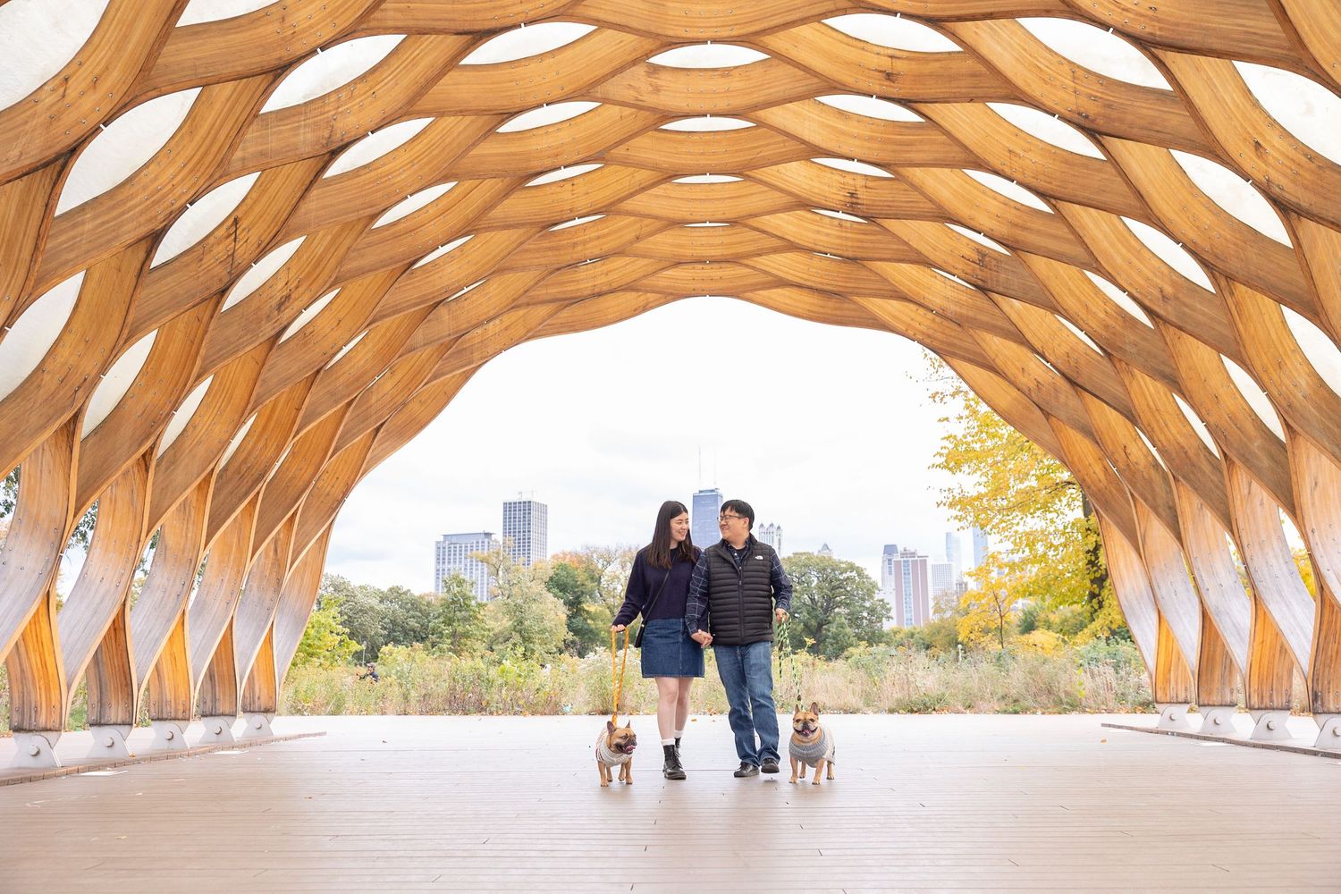 A couple walks their dogs through a wooden latticed tunnel structure in Lincoln Park, Chicago during autumn.