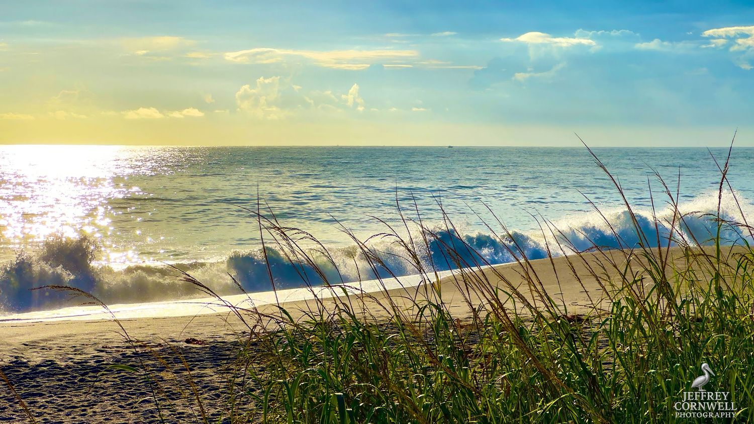 Panoramic view of a beach landscape with sea oats swaying in the breeze against a blue sky.