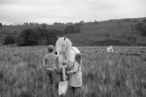 Black and white panoramic sequence showing people walking through a grassy meadow landscape.