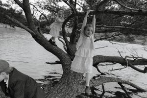 A person stands on a fallen tree trunk over water in a dramatic black and white nature scene.