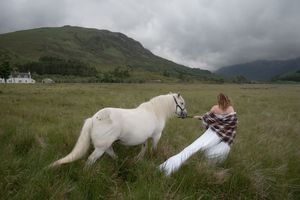 A white horse playfully pulls on someone's blanket in a misty mountain meadow with green hills in the background.