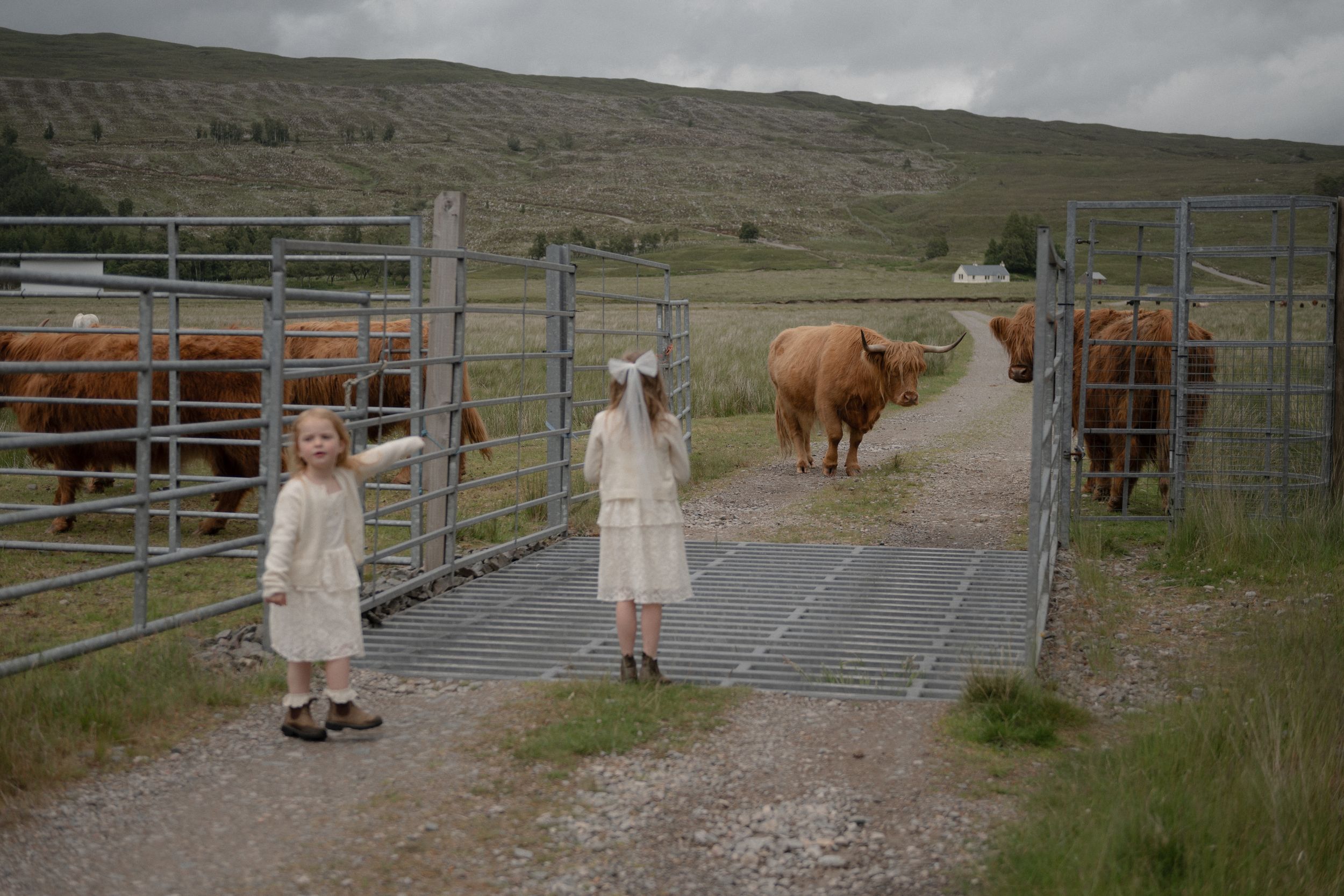 Two people in white coats stand near a cattle gate with Highland cows visible in the background.