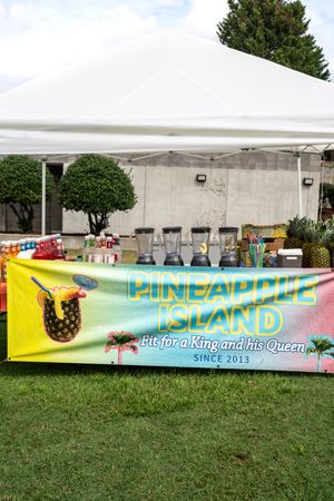 A colorful banner for 'Pineapple Island' food vendor with tropical theme displayed on grass under a white tent.