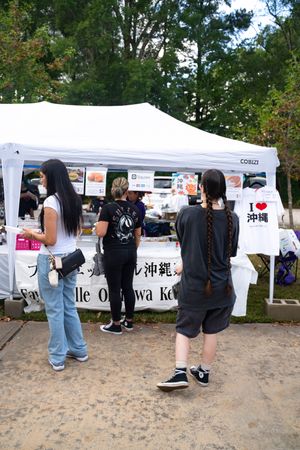People browsing merchandise at white vendor tents during an outdoor festival.